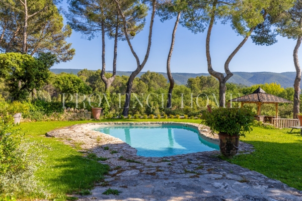 Maison de luxe à vendre à Ménerbes, 4 500 000 €, Photo 2