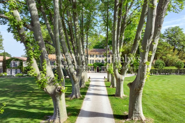Maison de luxe à vendre à Saint-Rémy-de-Provence, 8 900 000 €, Photo 3