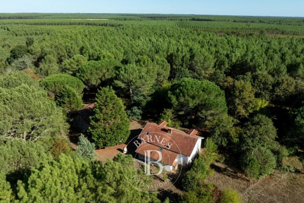 Maison de luxe à vendre à Linxe, 445 000 €