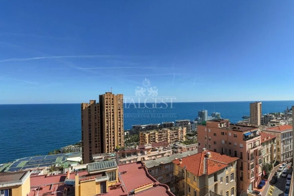 Appartement de luxe à vendre à Beausoleil, 1 950 000 €, Photo 4