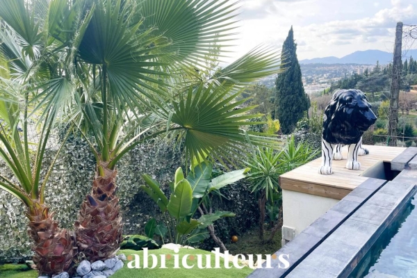 Maison de luxe à vendre à Le Cannet, 1 299 000 €, Photo 4