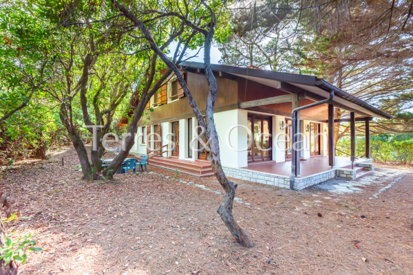 Luxury House for sale in Seignosse, 1 195 000 €, Photo 7