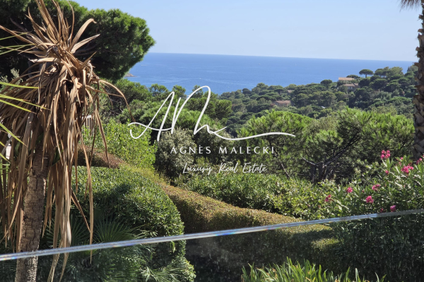 Luxury House for sale in La Croix-Valmer, 3 575 000 €, Photo 6