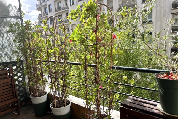 Appartement de luxe à vendre à Paris 16ème, 1 100 000 €, Photo 1