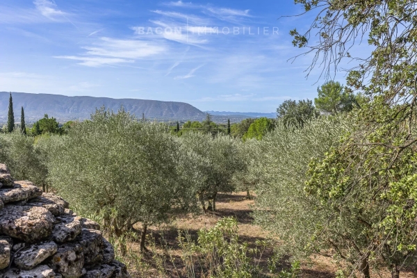 Luxury House for sale in Cabrières-d'Avignon, 595 000 €, Photo 3