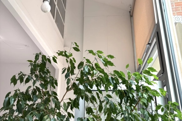Appartement de luxe à louer à Paris 20ème, 3 700 €, Photo 4
