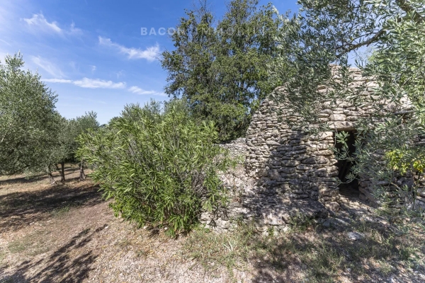 Luxury House for sale in Cabrières-d'Avignon, 595 000 €, Photo 4