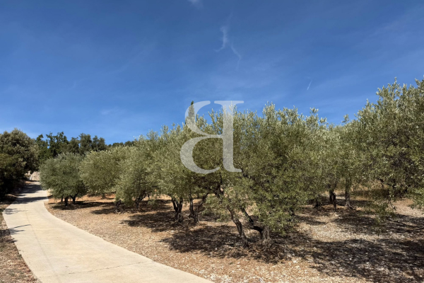 Maison de luxe à vendre à Méthamis, 650 000 €, Photo 7