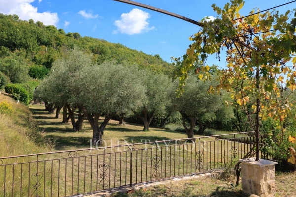 Maison de luxe à vendre à Tourrettes-sur-Loup, 3 700 000 €, Photo 4