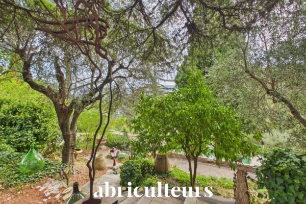 Luxury House for sale in Cantaron, 640 000 €, Photo 3