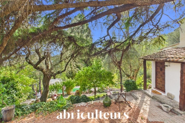 Luxury House for sale in Cantaron, 640 000 €, Photo 4