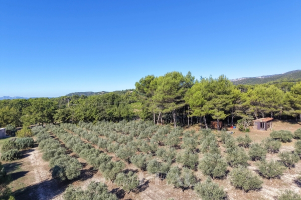 Luxury House for sale in Puget, 750 000 €, Photo 3