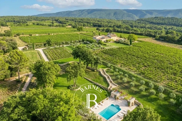 Maison de luxe à vendre à Ménerbes, 3 700 000 €, Photo 1