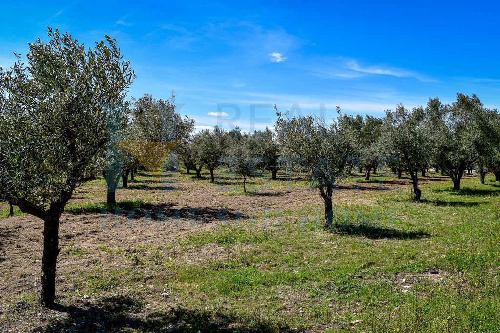 Luxury House for sale in Caltagirone, 320 000 €, Photo 2