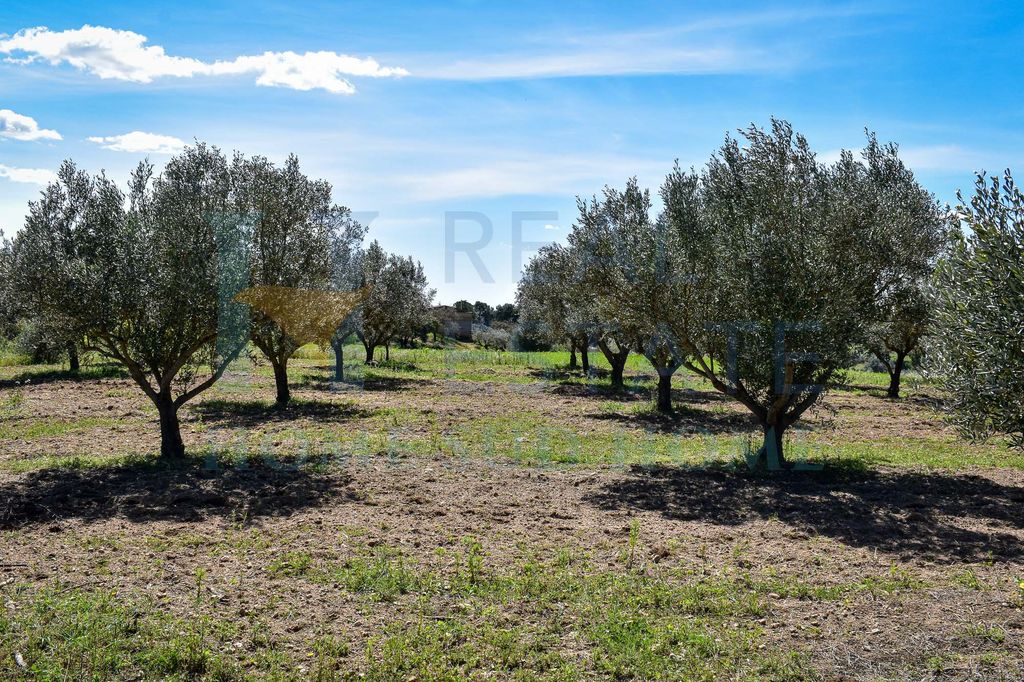 Luxury House for sale in Caltagirone, 320 000 €, Photo 5