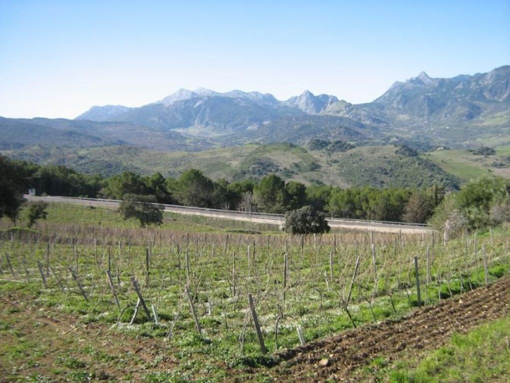 Maison de luxe à vendre à Ronda, 1 500 000 €, Photo 1