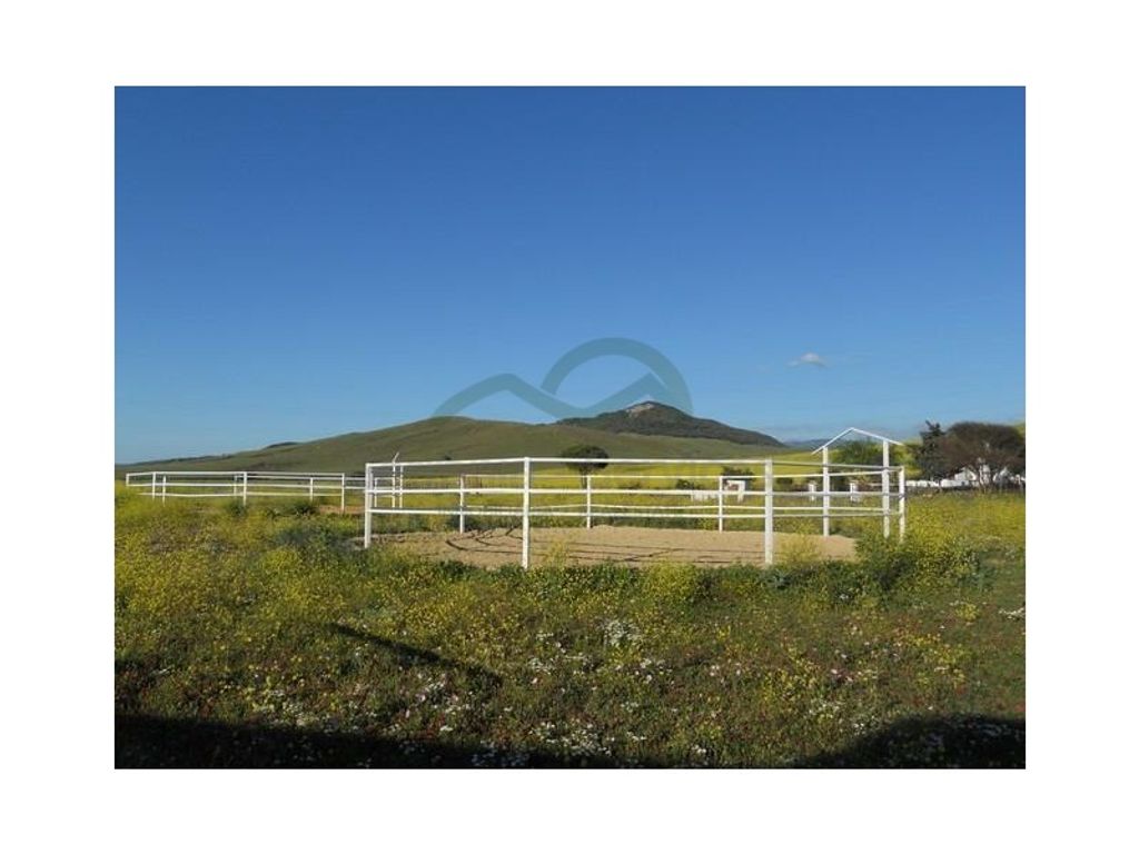Maison de luxe à vendre à Alcalá de Los Gazules, 840 000 €, Photo 2