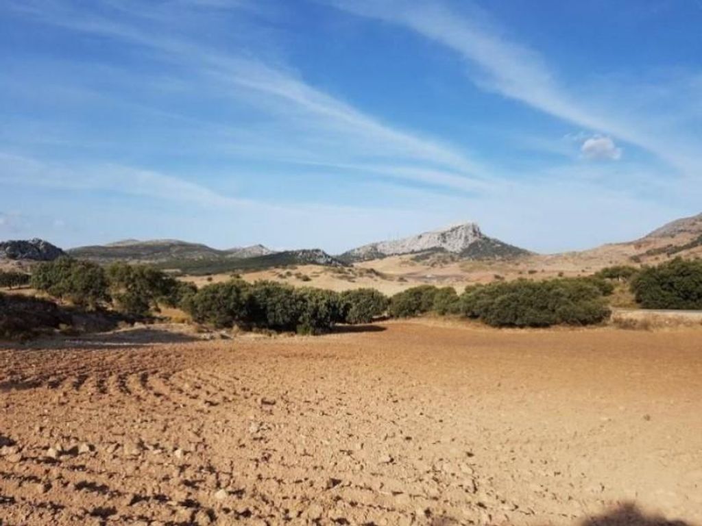 Luxury House for sale in Ronda, 720 000 €, Photo 6