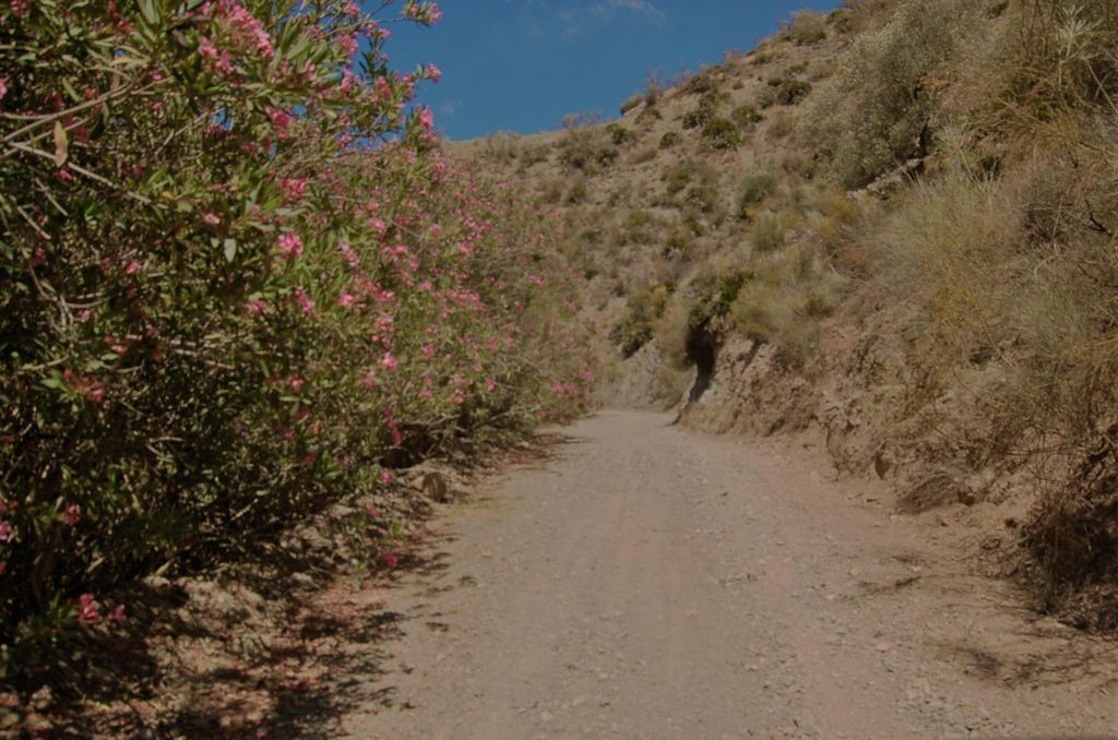 Luxury House for sale in Cártama, 600 000 €, Photo 6