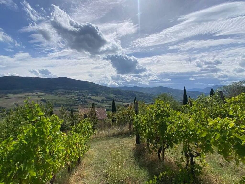 Maison de luxe à vendre à Travo, 1 800 000 €, Photo 1