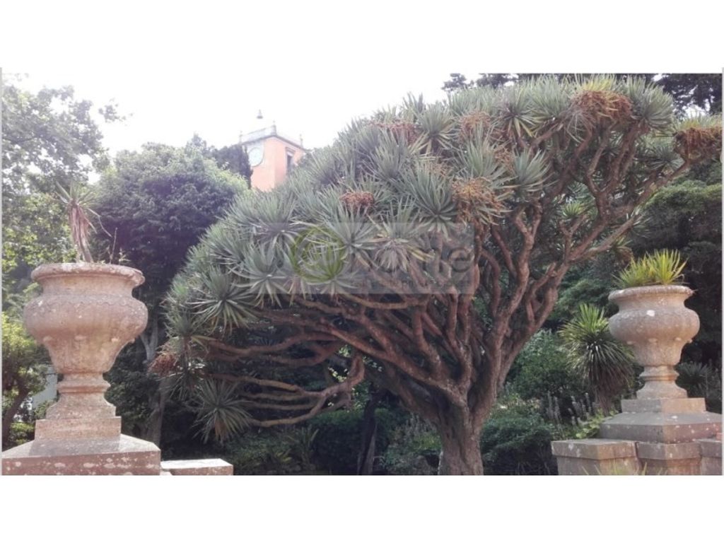 Luxury House for sale in Oeiras, 12 500 000 €, Photo 6