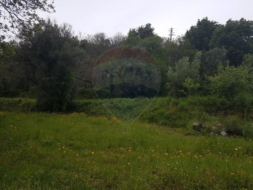 Maison de luxe à vendre à Arcos de Valdevez, 400 000 €, Photo 3