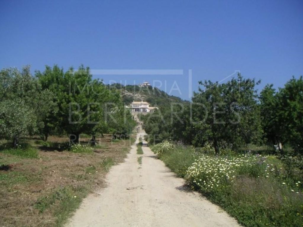 Maison de luxe à vendre à Faro, 2 495 000 €, Photo 4