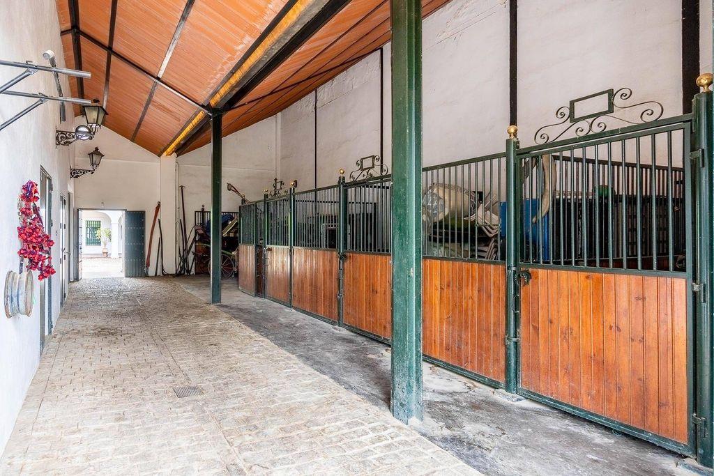 Maison de luxe à vendre à Valencina de La Concepción, 2 200 000 €, Photo 3
