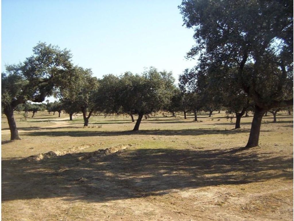 Maison de luxe à vendre à Aliseda, 2 580 000 €, Photo 4