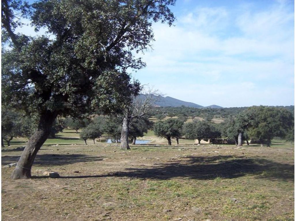 Maison de luxe à vendre à Aliseda, 2 580 000 €, Photo 7