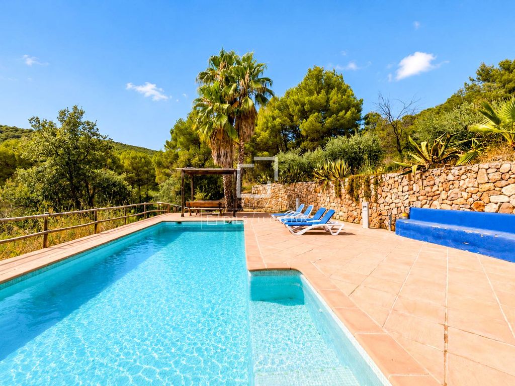 Maison de luxe à vendre à Torrelles de Foix, 1 495 000 €, Photo 3