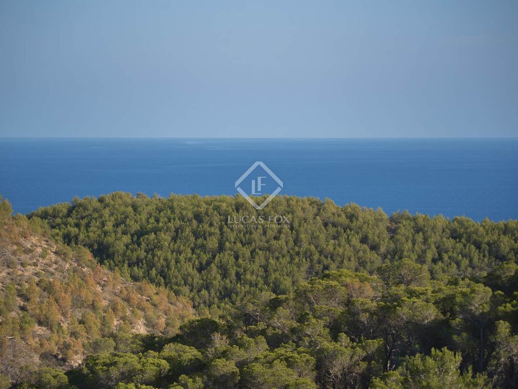 Maison de luxe à vendre à Roca Llisa, 6 300 000 €, Photo 7