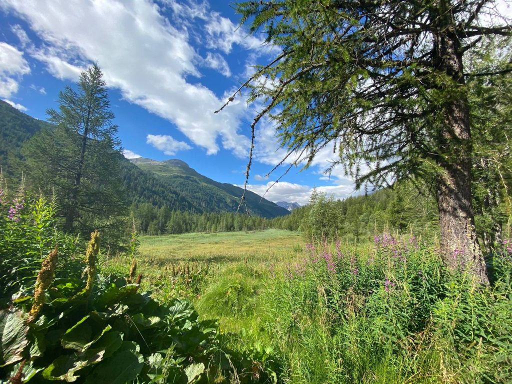 Appartement de luxe à vendre à Courmayeur, 990 000 €, Photo 5