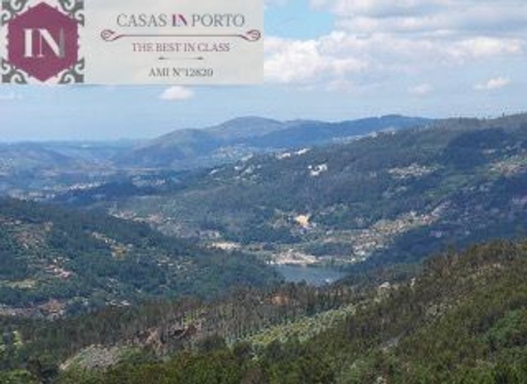 Maison de luxe à vendre à Marco de Canavezes, 1 190 000 €, Photo 3