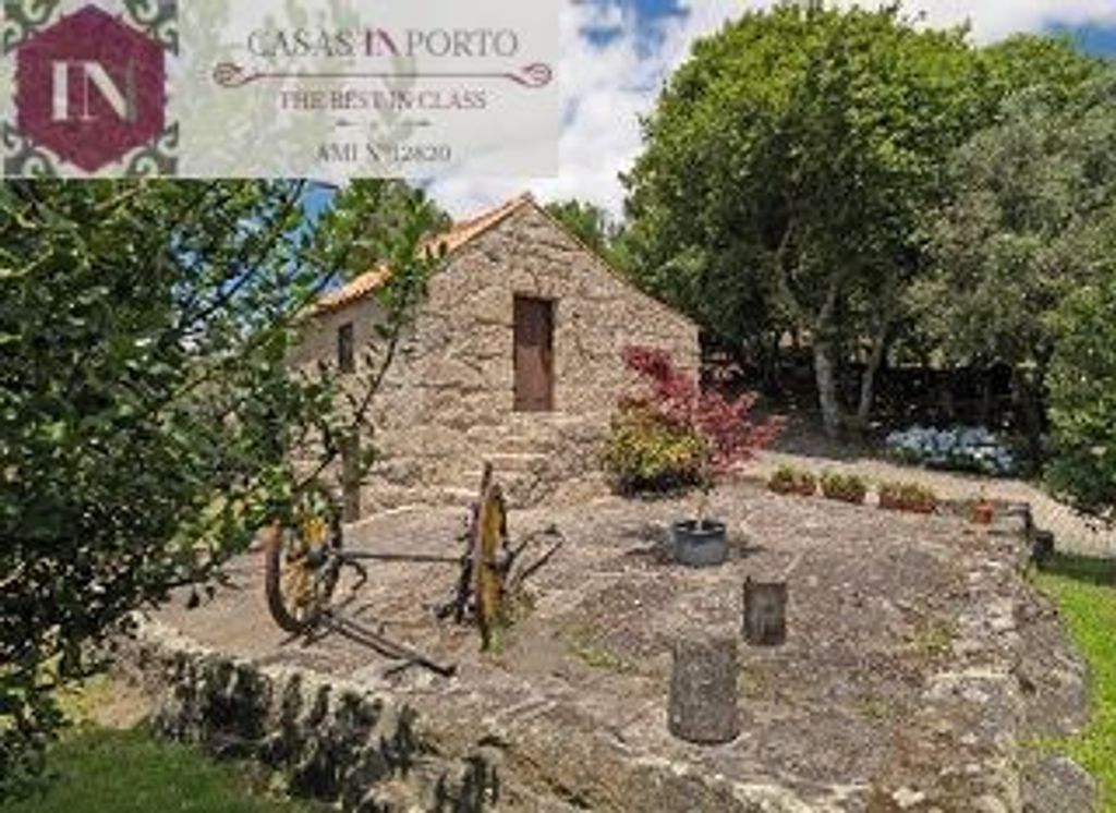 Maison de luxe à vendre à Marco de Canavezes, 1 190 000 €, Photo 5