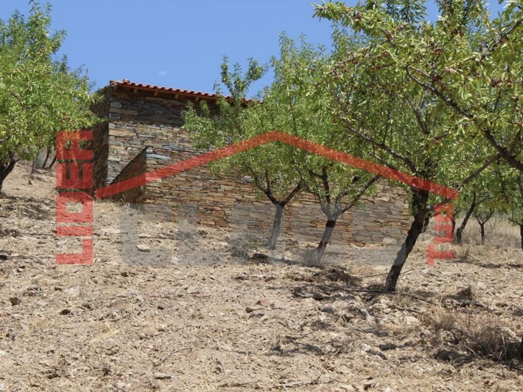Maison de luxe à vendre à Torre de Moncorvo, 650 000 €, Photo 5