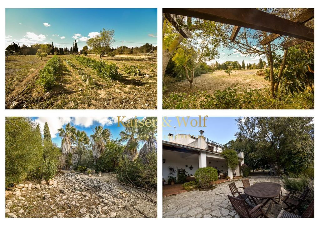 Maison de luxe à vendre à Elche, 650 000 €, Photo 4