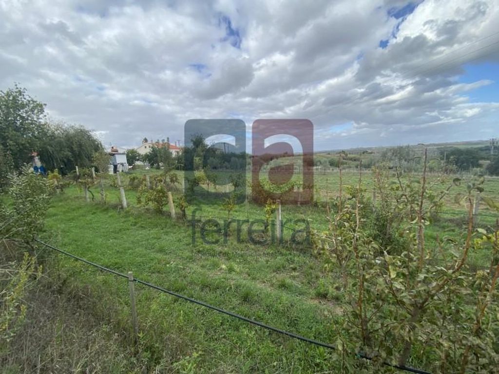 Maison de luxe à vendre à Santarém, 550 000 €, Photo 2