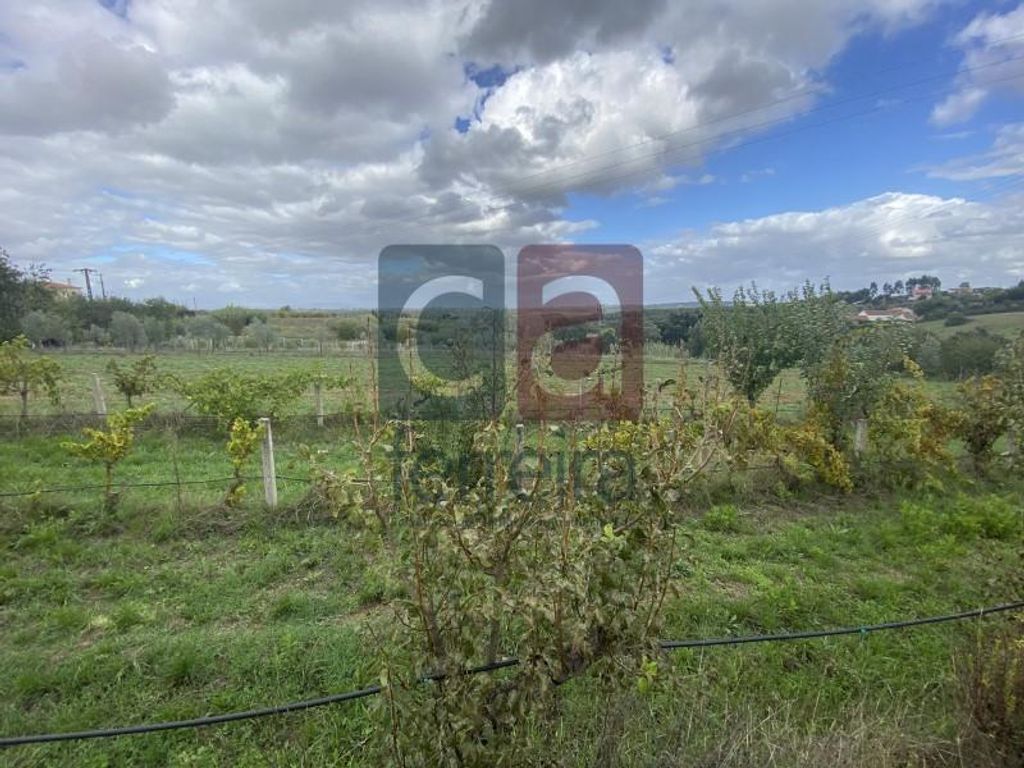 Maison de luxe à vendre à Santarém, 550 000 €, Photo 3