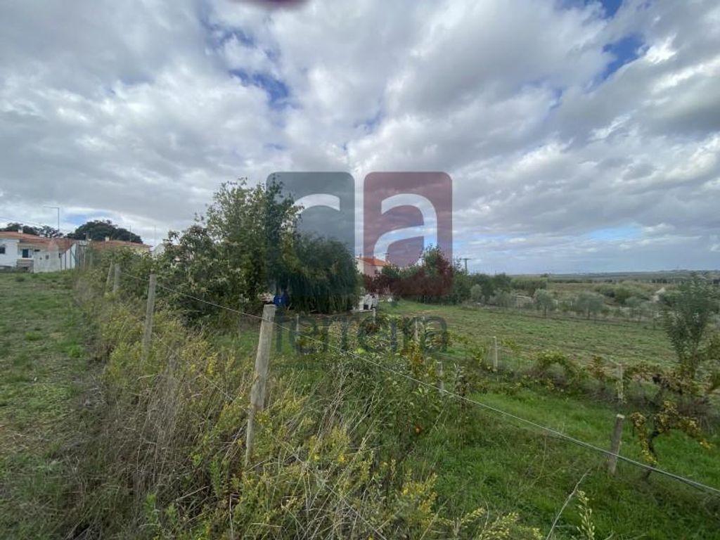 Maison de luxe à vendre à Santarém, 550 000 €, Photo 4