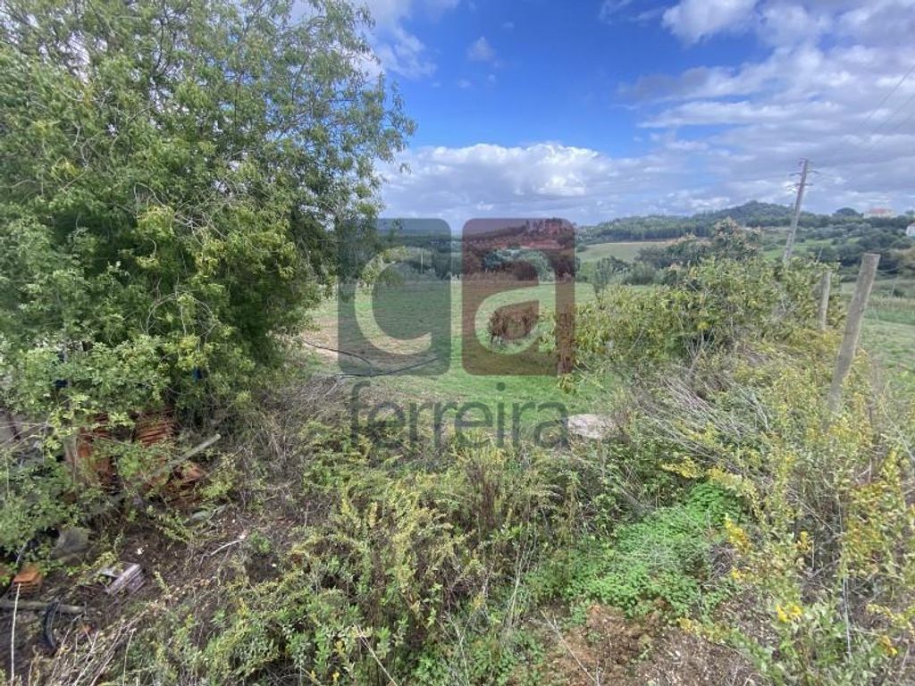 Maison de luxe à vendre à Santarém, 550 000 €, Photo 5