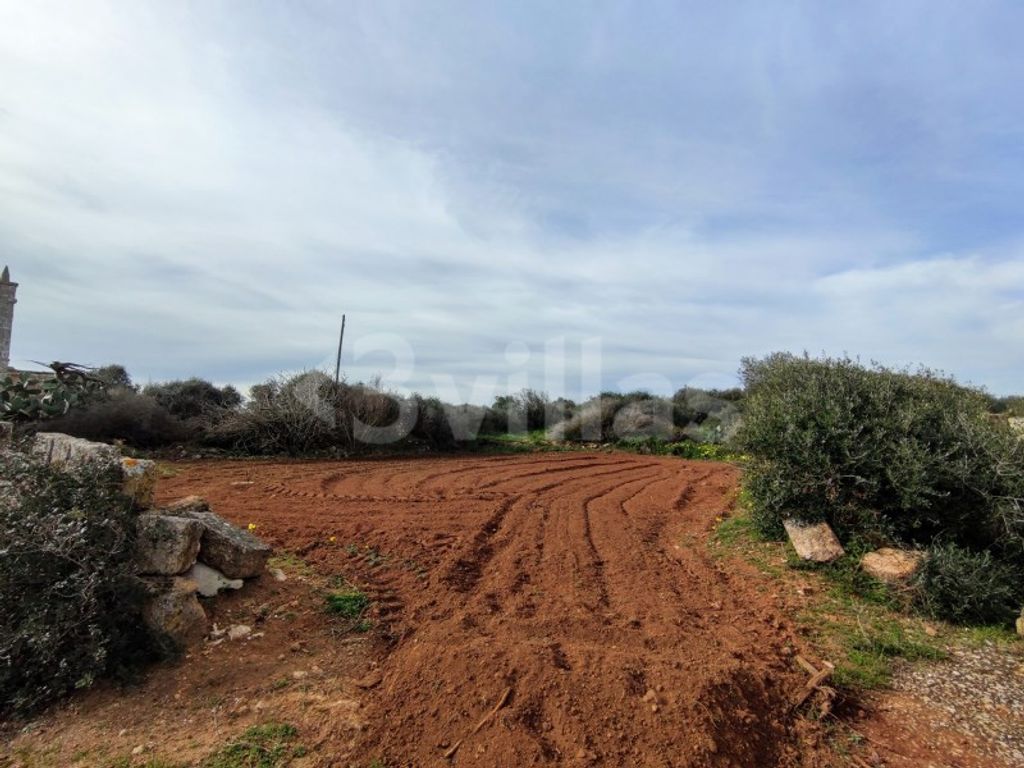 Maison de luxe à vendre à Ciutadella, 955 000 €, Photo 2