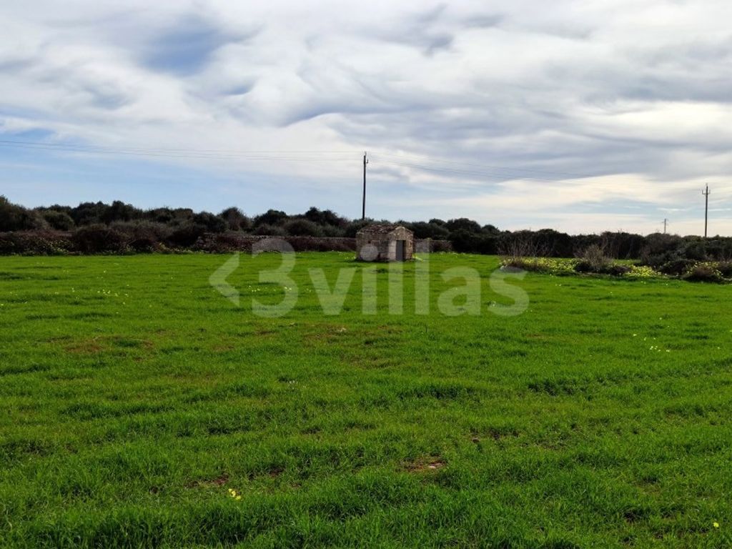 Maison de luxe à vendre à Ciutadella, 955 000 €, Photo 5