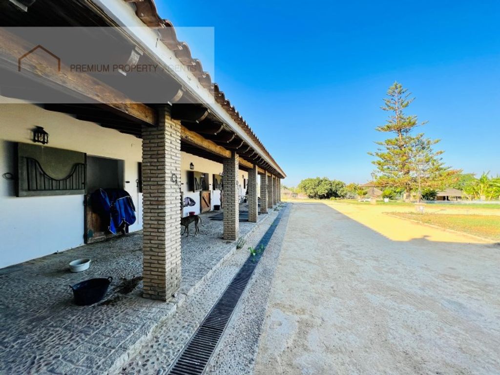 Maison de luxe à vendre à Dos Hermanas, 3 500 000 €, Photo 4