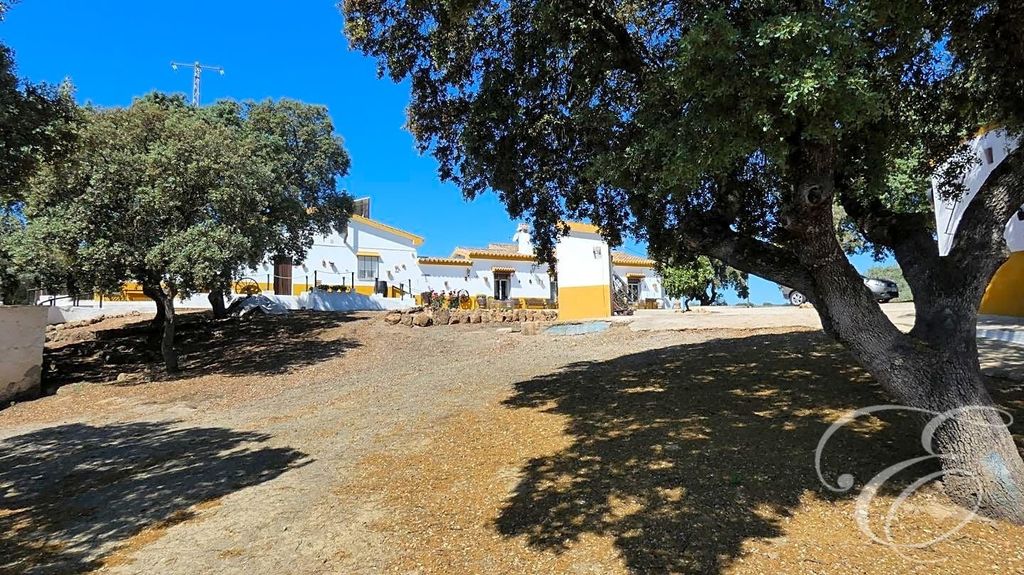 Maison de luxe à vendre à Archidona, 590 000 €, Photo 3