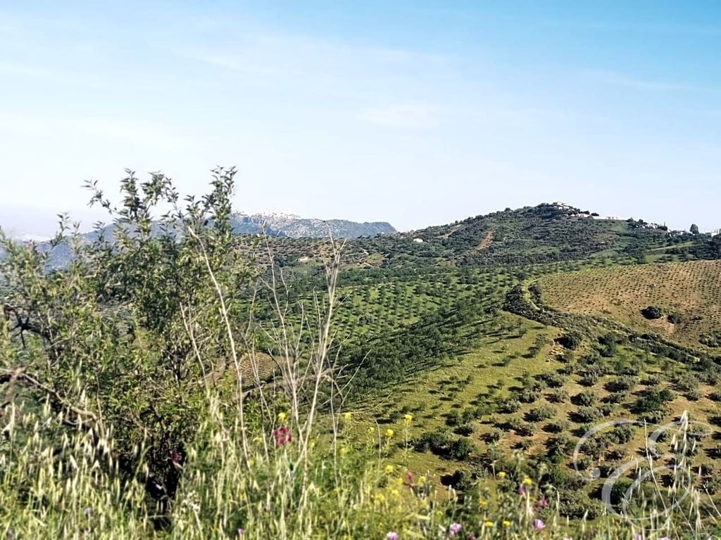 Maison de luxe à vendre à Colmenar, 1 300 000 €, Photo 2