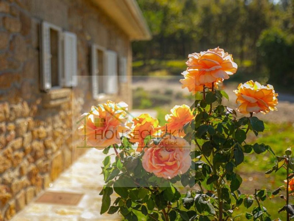 Maison de luxe à vendre à Sabugal, 599 000 €, Photo 5