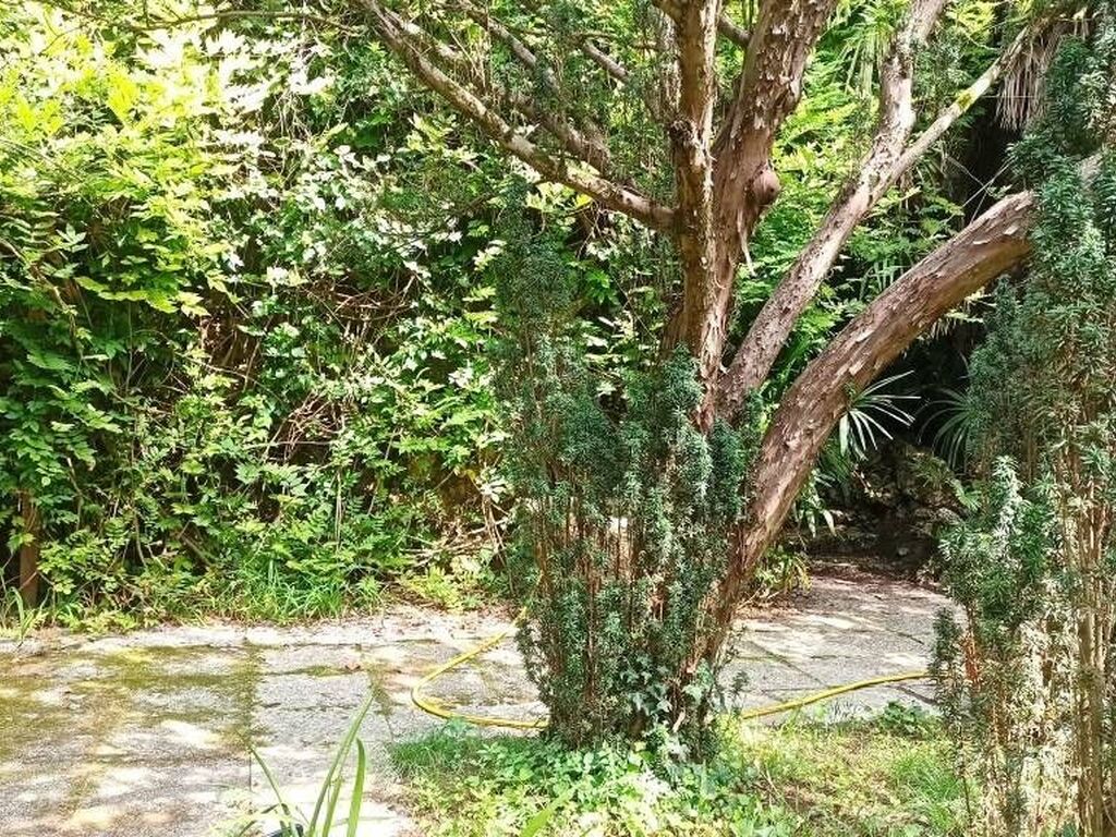 Luxury House for sale in Treviso, 690 000 €, Photo 4