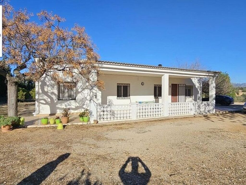 3205931