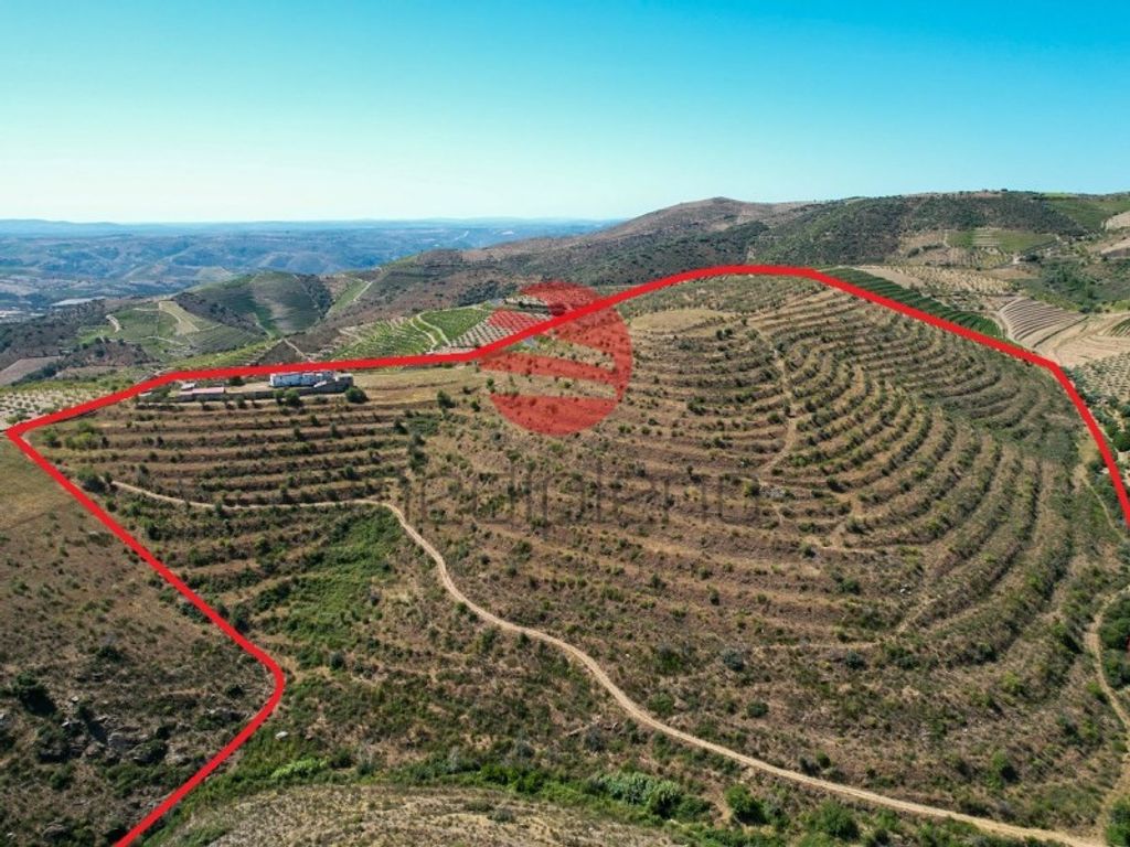 Maison de luxe à vendre à Vila Nova de Foz Côa, 795 000 €, Photo 1